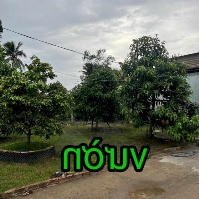 Hình ảnh 3,2 công đất - nhà vườn nghỉ dưỡng: có nhà, hồ bơi, ao cá, view sông nước, đường bêtông 3m, vườn cây trái đủ loại…. Gò Công Tây, TG 10