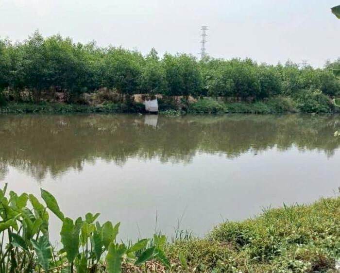 Hình ảnh 2245m2 đất trồng cây khu láng chà-xã Tân Hiệp-Hóc Môn. 10ty 0