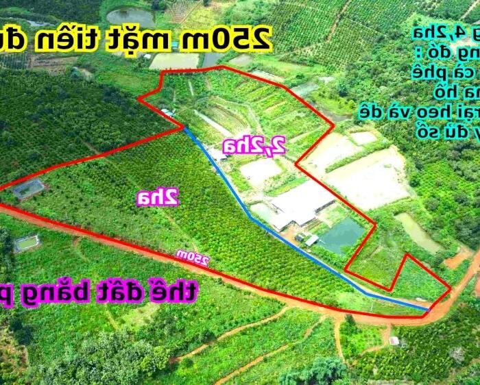 Hình ảnh 4,2ha bằng như sân bóng tại thành phố Gia Nghĩa 0