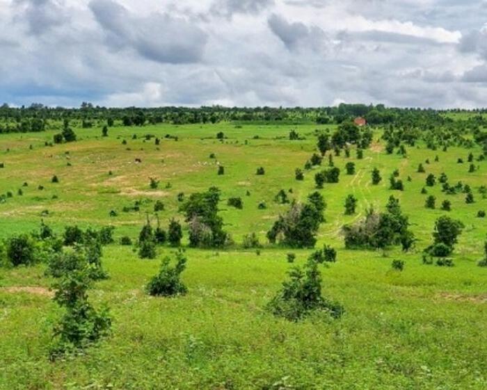 Hình ảnh Bán xả lô Sông Lũy 2.177m2 giá 244 triệu bao sang tên công chứng ngay cách QL1A 1km 0