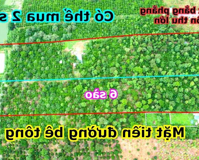 Hình ảnh Nghĩ dưỡng cho các cụ giá tại thành phố Gia Nghĩa - Đồng quê bình yên tại Đắk Nông 0