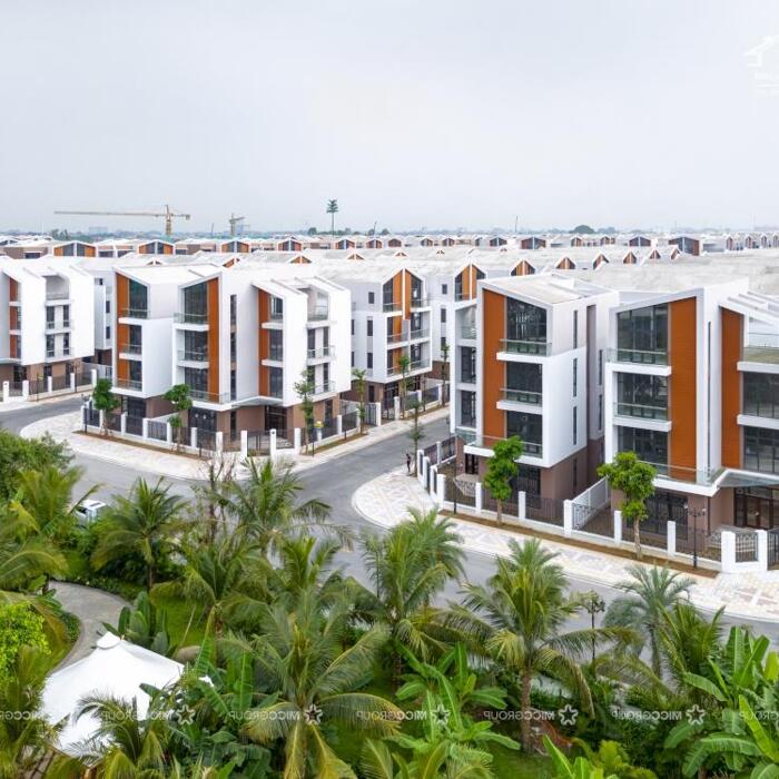 Hình ảnh Cơ hội sở hữu biệt thự đẳng cấp - phân khu Ánh Dương, Vinhomes Ocean Park 3 1