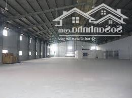 Hình ảnh Cho thuê Kho Xưởng: 1.800m2 Bến Lức, Long An. Có PCCC, Trạm điện, đường xe Cont 40f 24/24. 1