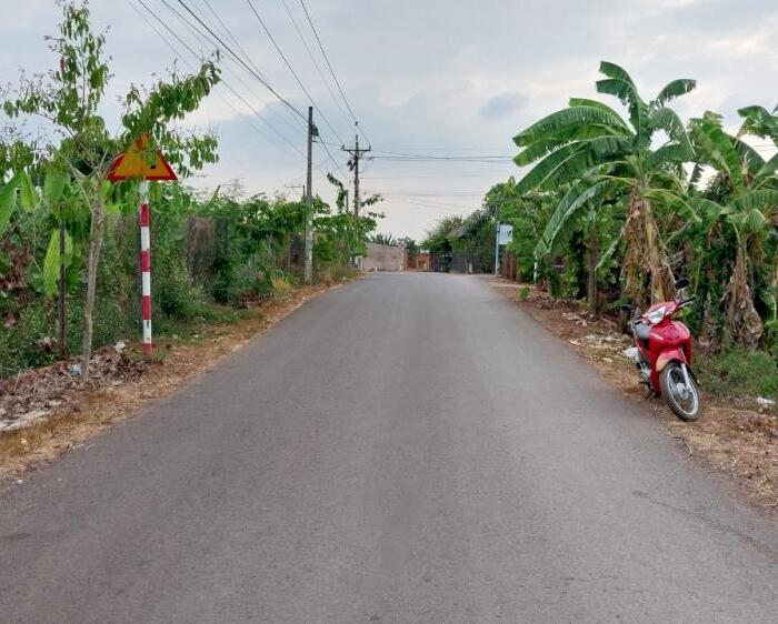 Hình ảnh Bán 2 Sào, Mặt Tiền đường nhựa, xã Sông Trầu, huyện Trảng Bom 0