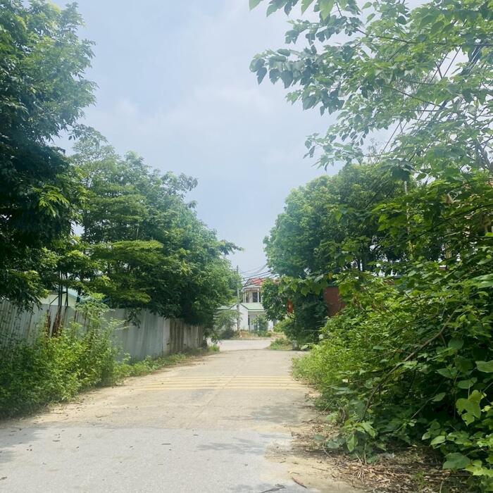 Hình ảnh Cần bán gấp ô đất rộng giáp đường 52m tại Trại Giao, Khai Quang, Vĩnh Yên. Lh: 0986934038 2