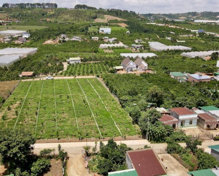 Hình ảnh Bán 255m2 đất vị trí trung tâm Mê Linh, cách Chợ đêm Đà Lạt chỉ 19km 0