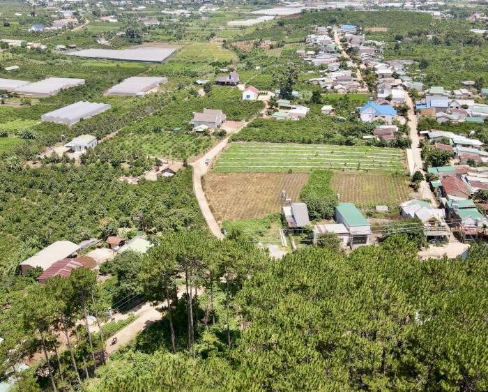 Hình ảnh Bán 255m2 đất vị trí trung tâm Mê Linh, cách Chợ đêm Đà Lạt chỉ 19km 2