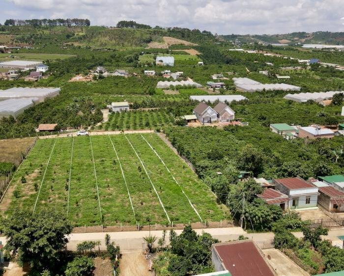 Hình ảnh Bán 255m2 đất vị trí trung tâm Mê Linh, cách Chợ đêm Đà Lạt chỉ 19km 3