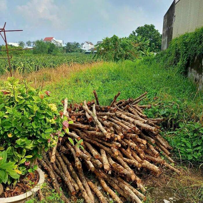 Hình ảnh Đất hẻm ô tô đường Nguyễn Minh Đường, P4, TP Tân An 0