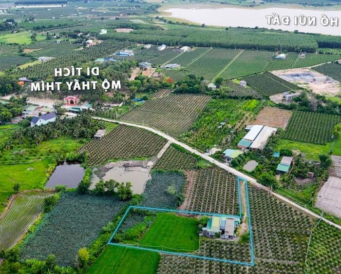 Hình ảnh Bán 8257m2 đất ONT Tân Tiến - TX LaGi chưa qua đầu tư 315tr/ sào 1