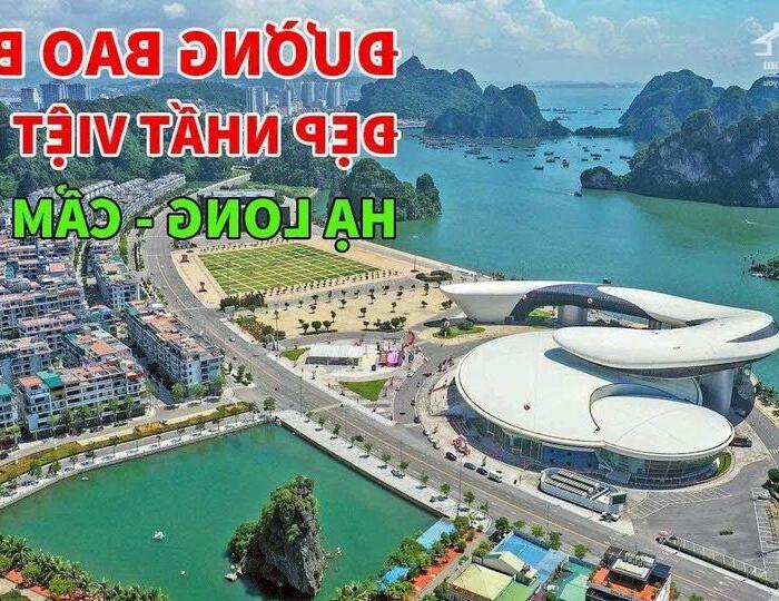 Hình ảnh Chính chủ chuyển sinh sống cần Bán căn Biệt thự 335m mặt đường Bao Biển trung tâm Tp Hạ Long 7