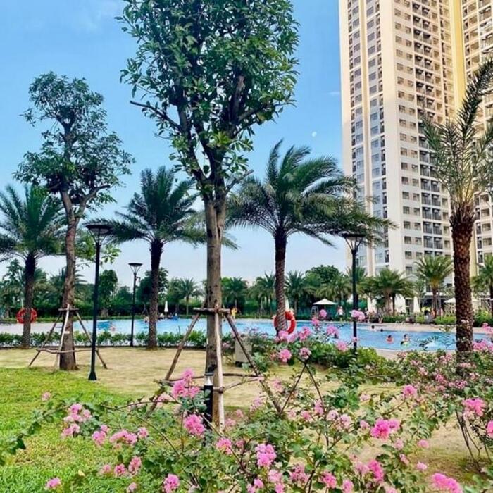 Hình ảnh XIN GỬI ĐẾN QUÝ KHÁCH BẢN TIN CĂN HỘ TỪ VINHOMES GRAND PARK 0