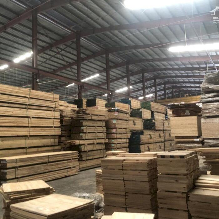 Hình ảnh Nhà xưởng đẹp, giá tốt, cần bán Gấp! 1,45 Ha, gần cầu Lớn, Hóc Môn 4