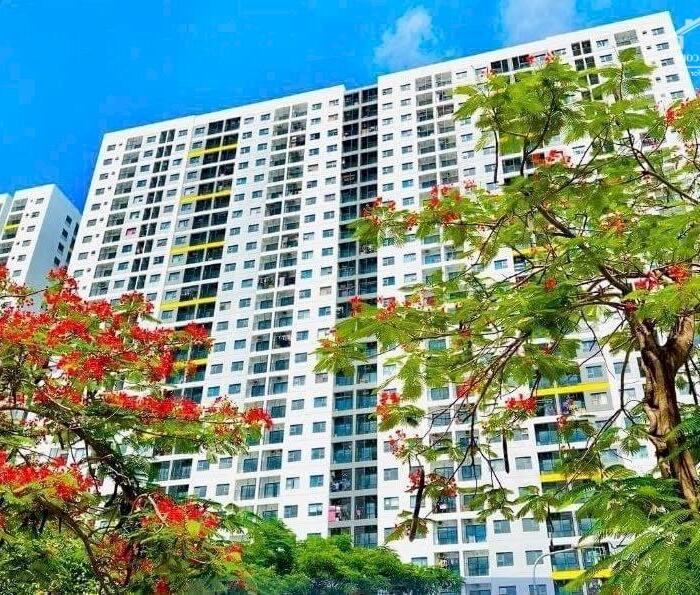 Hình ảnh Bán Căn Hộ Cao cấp Legacy Central chỉ với 199tr trung tâm TP Thuận An 4