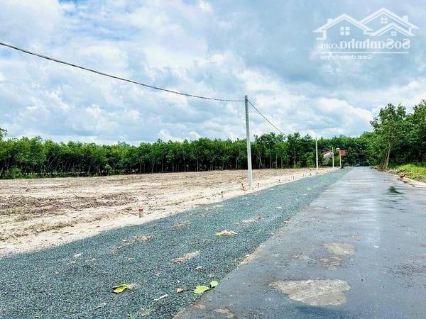 Hình ảnh BÁN GẤP 10X45= 450M2 ĐẤT Ở NGAY KCN MINH HƯNG, GẦN CHỢ XÂY TRỌ LIỀN. GIÁ 190 TRIỆU 0