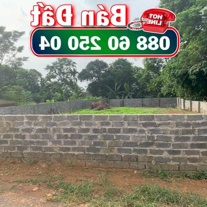 Hình ảnh Bán đất vườn giá siêu rẻ ở tiên phương, chương mỹ hà nội, cách QL6 khoảng 800m 1