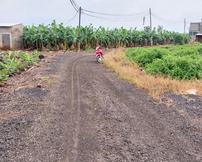 Hình ảnh Cần bán 1000m, quy hoạch đất Thương Mại Dịch Vụ, xác bên hồ Trị An, xã Thanh Bình 0