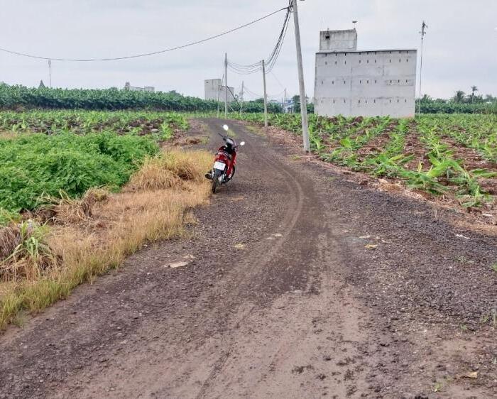 Hình ảnh Cần bán 1000m, quy hoạch đất Thương Mại Dịch Vụ, xác bên hồ Trị An, xã Thanh Bình 1