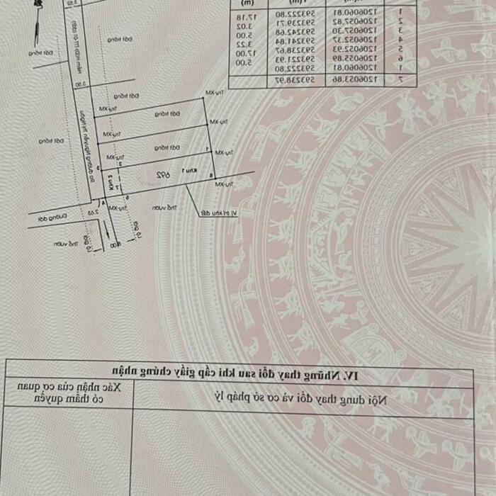 Hình ảnh Đất thổ cư 2/Trung Đông 12-Thới Tam Thôn-Hóc Môn.Dt mỗi lô 5x20,2~101m2~2,5ty 5