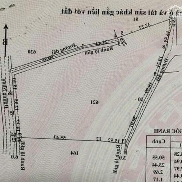 Hình ảnh 5442m2 đất trồng cây 3 mặt tiền đ.Đào Thị Thơm-An Nhơn Tây-Củ Chi.18ty 2