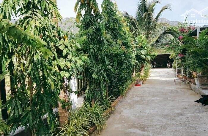 Hình ảnh Biệt thự sân vườn Bình Hòa Phước Hạ Nha Trang gần 568m2 7