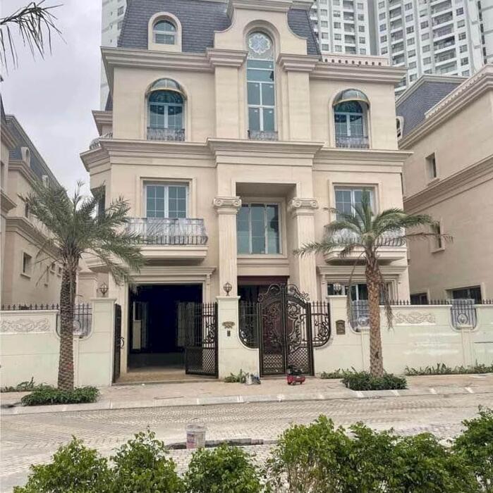 Hình ảnh Cần bán Biệt thự dự án The Sapphire Mansions, Diện tích 253m². LH: 0888766676 0