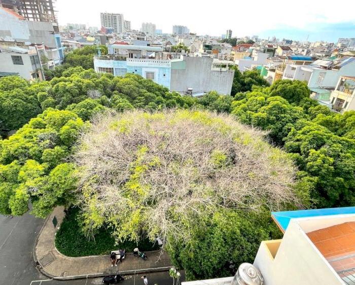 Hình ảnh CHÍNH CHỦ BÁN NHÀ 4 TẦNG VIEW LANDMARK MẶT TIỀN NGUYÊN HỒNG 4