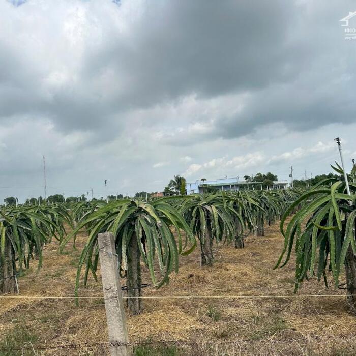 Hình ảnh Bán 1.9 ha đất Lô 2 Lý Thái Tổ - Tân Tiến - TX LaGi cách Biển Tam Tân 700m 2