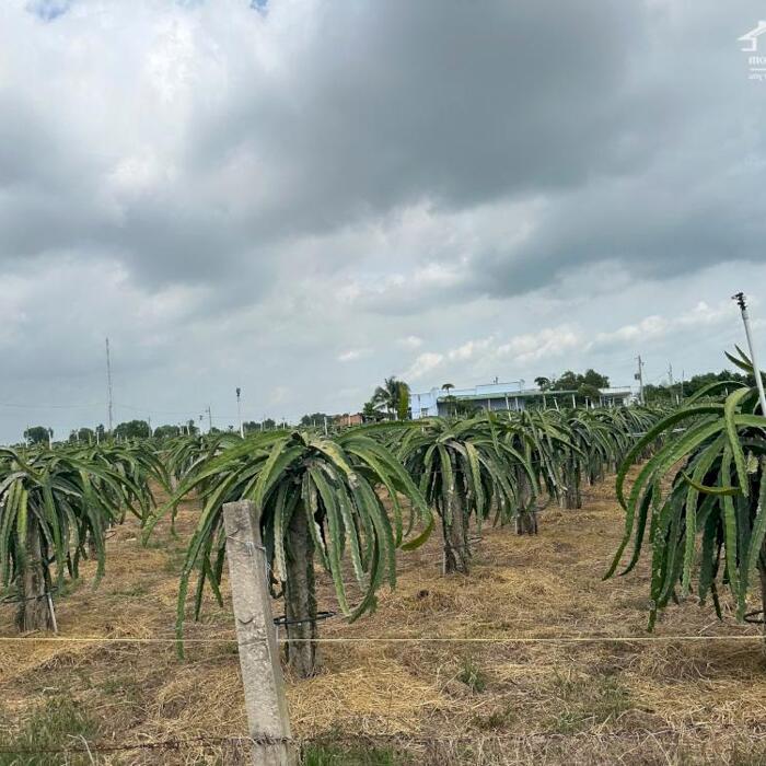 Hình ảnh Bán 1.9 ha đất Lô 2 Lý Thái Tổ - Tân Tiến - TX LaGi cách Biển Tam Tân 700m 4