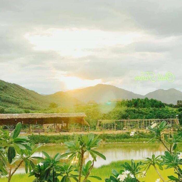 Hình ảnh Cần sang nhượng mô hình Farm du lịch chữa lành khánh hòa 11