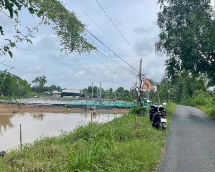 Hình ảnh 3,2 công đất mặt tiền nhựa gần sông MêKông – Phà Bến Chùa, Gò Công Đông, Tiền Giang 1