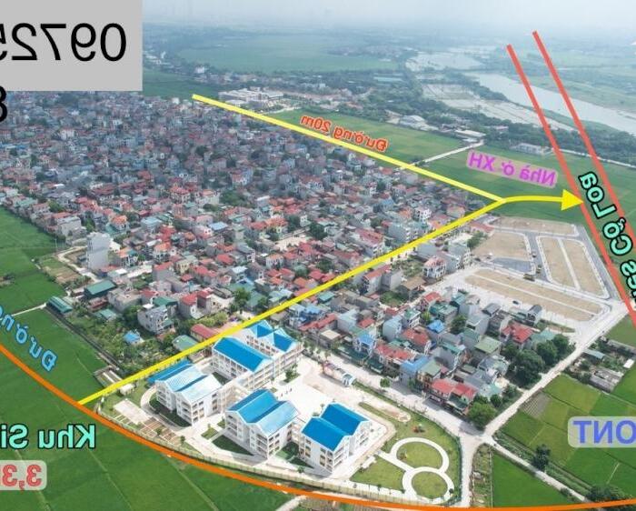 Hình ảnh Chuyển nhượng đấu giá Dục Tú - Đông Anh 2