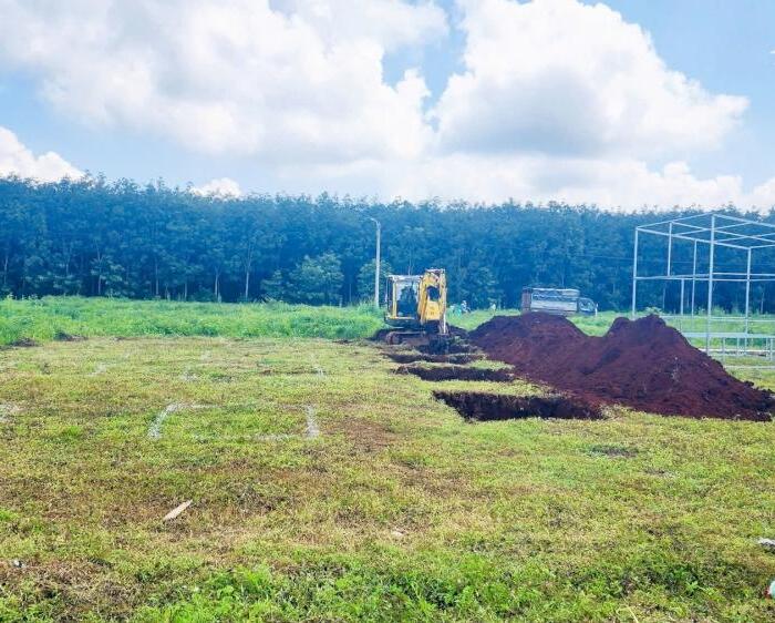 Hình ảnh Bạn có thể cảm nhận không? Cơ hội đầu tư an toàn và sinh lời đang ngay trước mắt! 3