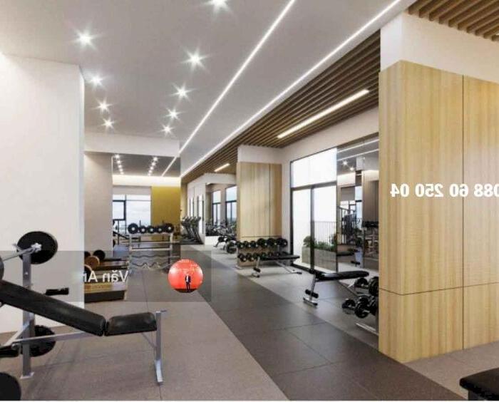 Hình ảnh Bán Căn Hộ cao cấp 1PN DT 50m², tòa GS6 ở khu đại đô thị Vinhomes Smart City - Tây Mỗ 4