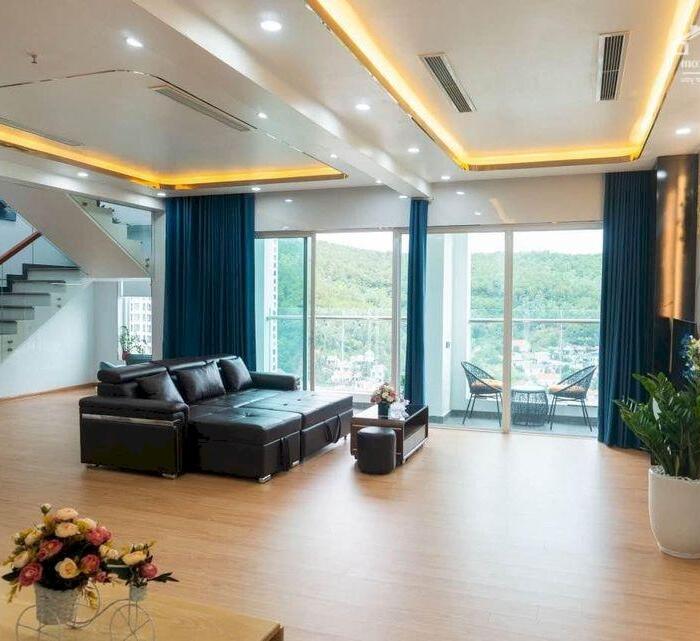 Hình ảnh Do chuyển sinh sống nên bán căn Penthouse 2 tầng 208m2 trung tâm du lịch Hùng Thắng Bãi Cháy Hạ Long 0