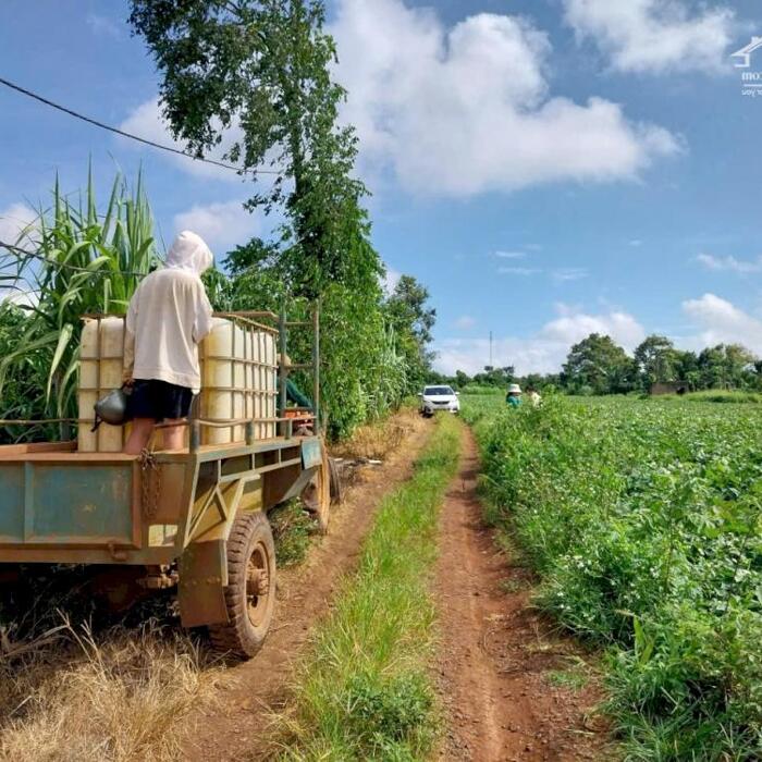 Hình ảnh B.á.n 9 xào đất có 200m mặt tiền ôtô tại P. Đoàn kết, TX Buôn Hồ, tỉnh Đắk Lắk. 8