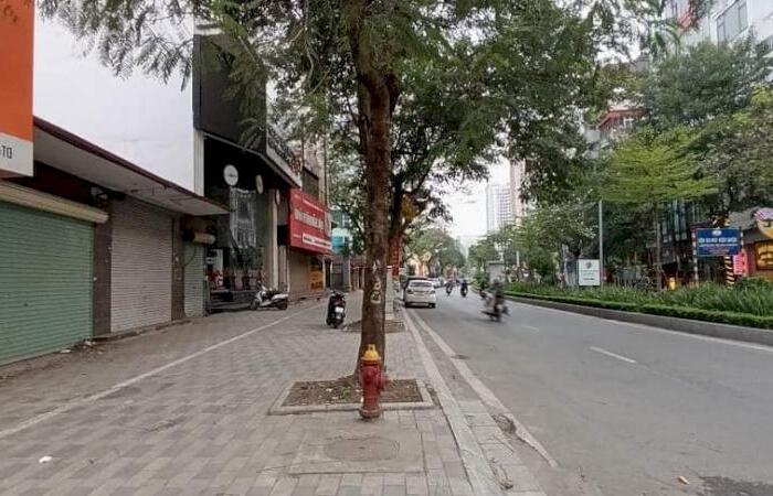 Hình ảnh Nhà phố Nguyễn Khánh Toàn, 180m2 mặt tiền 9m, lô góc vỉa hè tuyệt đẹp 0