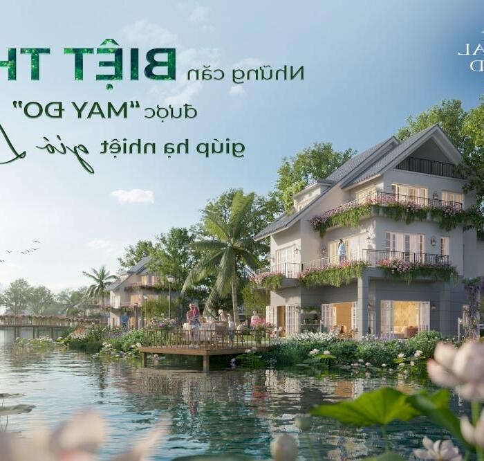 Hình ảnh Quỹ ngoại giao biệt thự đảo eco central park ( ecopark vinh ) giá tốt nhất 4