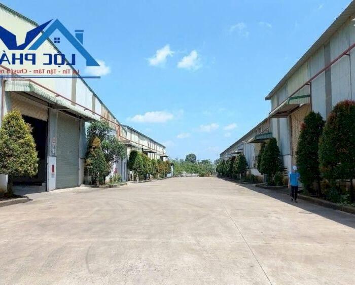 Hình ảnh Cho thuê nhà xưởng 5000m2 giá 375 triệu KCN Tam Phước-Biên Hòa-Đồng Nai 2