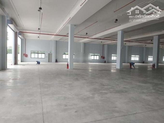 Hình ảnh Cho thuê xưởng 9700m2 KCN Dệt May Bình An, TP Dĩ An, Bình Dương 1