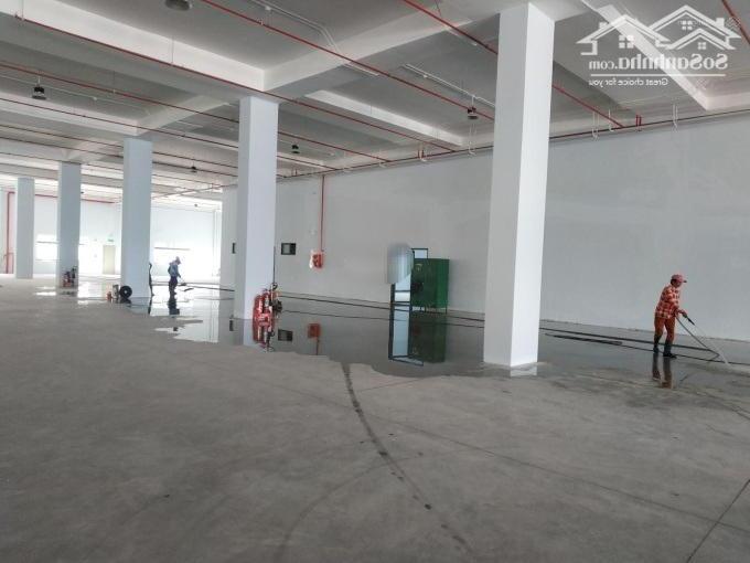 Hình ảnh Cho thuê xưởng 9700m2 KCN Dệt May Bình An, TP Dĩ An, Bình Dương 0