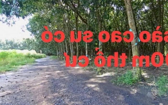 Hình ảnh Cần bán 5010m, có 300m thổ cư, xã An Viễn, huyện Trảng Bom 0