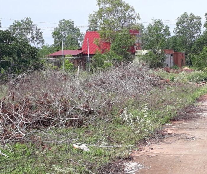 Hình ảnh Đại Hạ Giá nhiều đất Mẫu-Gần Sân Bay Thiện Nghiệp-Phan Thiết. 3