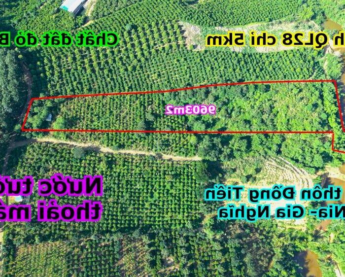 Hình ảnh Đất rẫy thành phố rẻ vô địch tại Đắk Nia Gia Nghĩa Đắk Nông 0