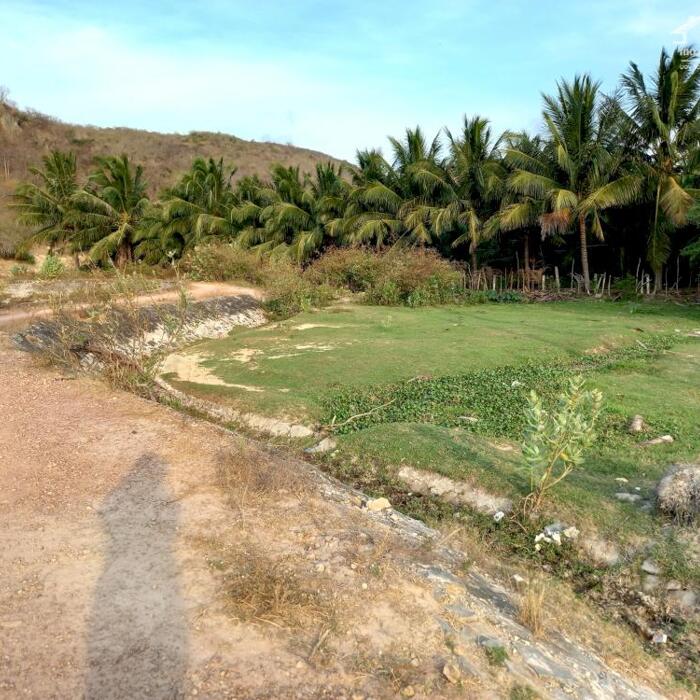 Hình ảnh Siêu phẩm tuyệt đẹp Rẻ Nhất-MT 40m,View Hồ,Núi-Thiện Nghiệp-Phan Thiết-DT 2.990m2 0