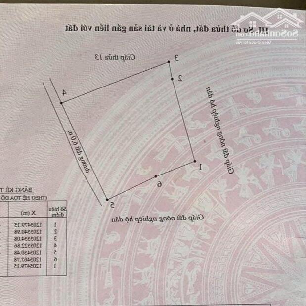 Hình ảnh Đại hạ giá bán nhanh-Đất Âu Cơ-Tiến Thành-Phan Thiết-DT 6.000m2 4