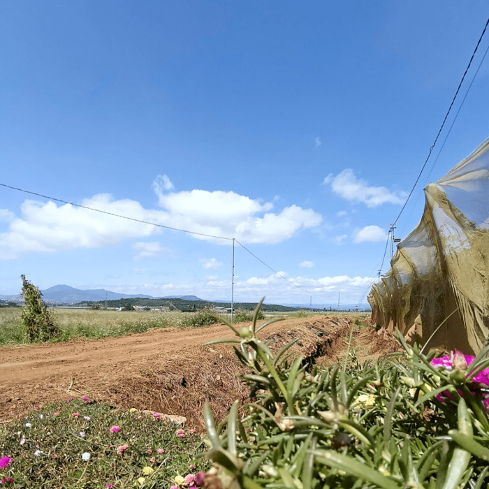 Hình ảnh BÁN ĐẤT SÀO VIEW NÚI R''CHAI TUYỆT ĐẸP - TÂN HỘI, ĐỨC TRỌNG, LÂM ĐỒNG 1