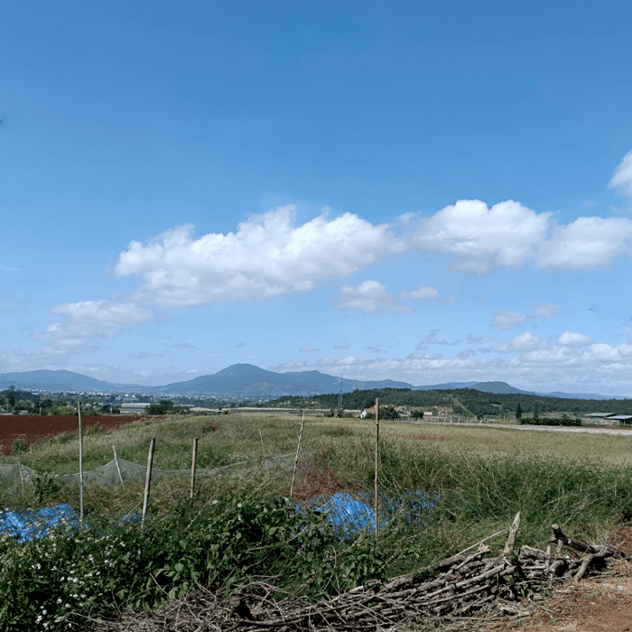 Hình ảnh BÁN ĐẤT SÀO VIEW NÚI R''CHAI TUYỆT ĐẸP - TÂN HỘI, ĐỨC TRỌNG, LÂM ĐỒNG 0