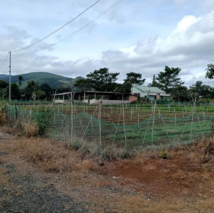 Hình ảnh Đất Liên Hiệp gần nhà thờ An Hòa, cách sân bay Liên Khương chỉ 3km, phù hợp an cư 6