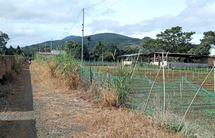 Hình ảnh Đất Liên Hiệp gần nhà thờ An Hòa, cách sân bay Liên Khương chỉ 3km, phù hợp an cư 1